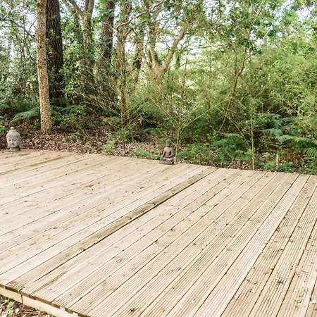 Roofless Surf Penzion