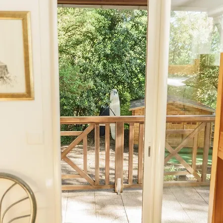 Roofless Surf سورت-هوسيغور