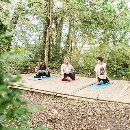 Roofless Surf * سورت-هوسيغور