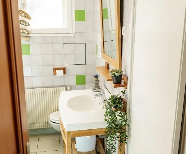 Roofless Surf Soorts-Hossegor